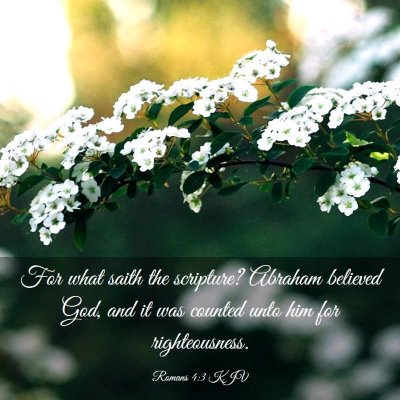 Picture 03 - Romans 4:3 KJV - For what saith the scripture? Abraham believed - Bible Verse Picture