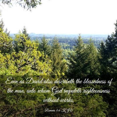 Picture 03 - Romans 4:6 KJV - Even as David also describeth the blessedness of - Bible Verse Picture