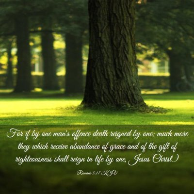 Picture 03 - Romans 5:17 KJV - For if by one man's offence death reigned by one; - Bible Verse Picture