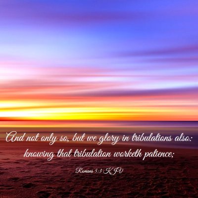 Picture 03 - Romans 5:3 KJV - And not only so, but we glory in tribulations - Bible Verse Picture