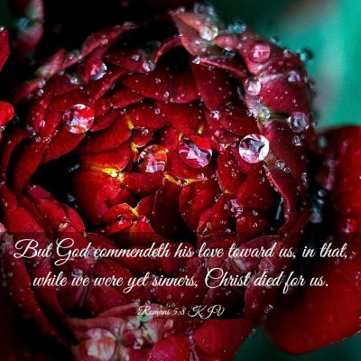 Picture 03 - Romans 5:8 KJV - But God commendeth his love toward us, in that, - Bible Verse Picture