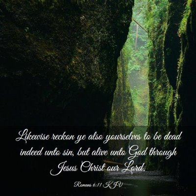 Picture 03 - Romans 6:11 KJV - Likewise reckon ye also yourselves to be dead - Bible Verse Picture