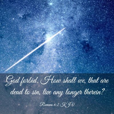 Picture 03 - Romans 6:2 KJV - God forbid. How shall we, that are dead to sin, - Bible Verse Picture