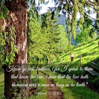 Picture 03 - Romans 7:1 KJV - Know ye not, brethren, (for I speak to them that - Bible Verse Picture