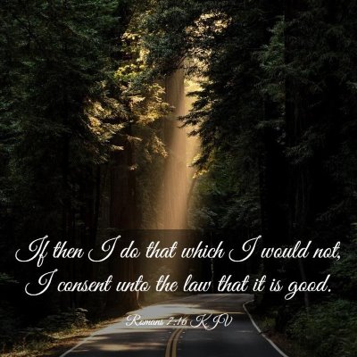 Picture 03 - Romans 7:16 KJV - If then I do that which I would not, I consent - Bible Verse Picture