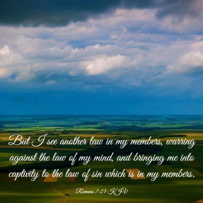 Picture 03 - Romans 7:23 KJV - But I see another law in my members, warring - Bible Verse Picture
