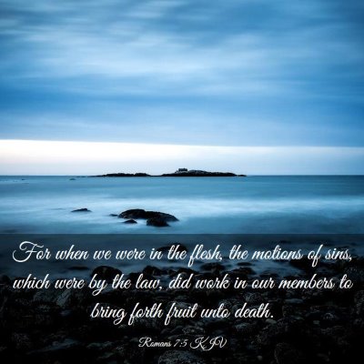 Picture 03 - Romans 7:5 KJV - For when we were in the flesh, the motions of - Bible Verse Picture