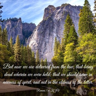 Picture 03 - Romans 7:6 KJV - But now we are delivered from the law, that being - Bible Verse Picture