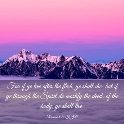 Picture 03 - Romans 8:13 KJV - For if ye live after the flesh, ye shall die: but - Bible Verse Picture