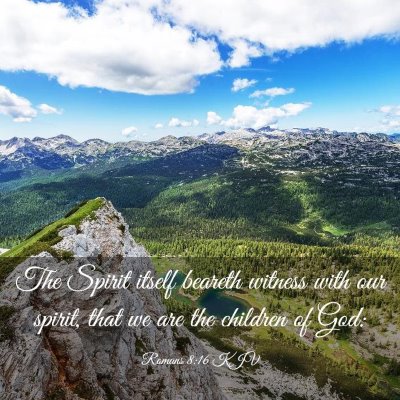 Picture 03 - Romans 8:16 KJV - The Spirit itself beareth witness with our - Bible Verse Picture