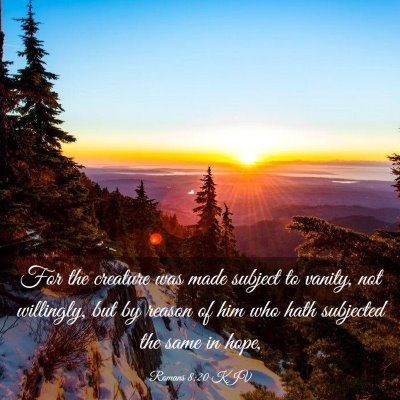 Picture 03 - Romans 8:20 KJV - For the creature was made subject to vanity, not - Bible Verse Picture