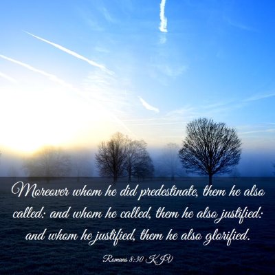 Picture 03 - Romans 8:30 KJV - Moreover whom he did predestinate, them he also - Bible Verse Picture