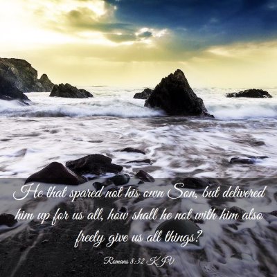 Picture 03 - Romans 8:32 KJV - He that spared not his own Son, but delivered him - Bible Verse Picture