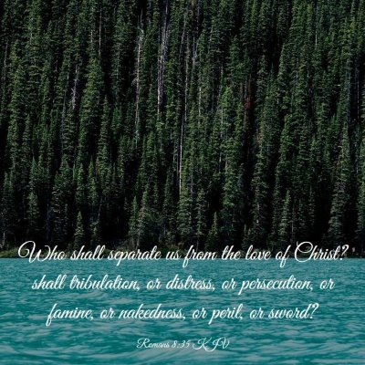 Picture 03 - Romans 8:35 KJV - Who shall separate us from the love of Christ? - Bible Verse Picture
