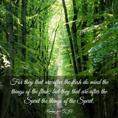 Picture 03 - Romans 8:5 KJV - For they that are after the flesh do mind the - Bible Verse Picture