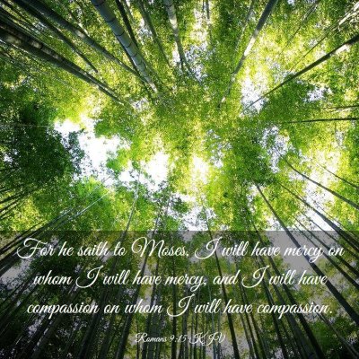 Picture 03 - Romans 9:15 KJV - For he saith to Moses, I will have mercy on whom - Bible Verse Picture