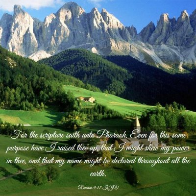 Picture 03 - Romans 9:17 KJV - For the scripture saith unto Pharaoh, Even for - Bible Verse Picture