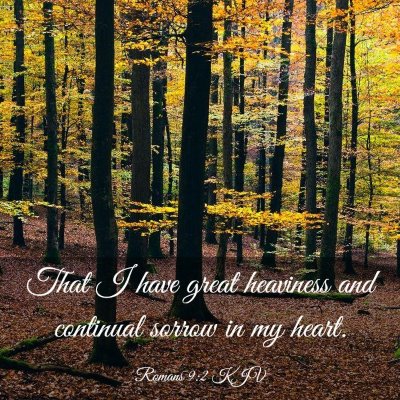 Picture 03 - Romans 9:2 KJV - That I have great heaviness and continual sorrow - Bible Verse Picture