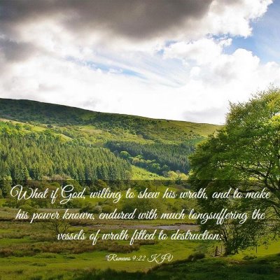 Picture 03 - Romans 9:22 KJV - What if God, willing to shew his wrath, and to - Bible Verse Picture