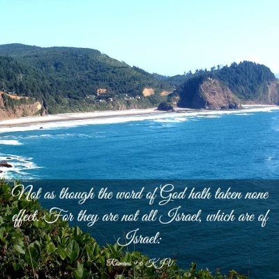 Picture 03 - Romans 9:6 KJV - Not as though the word of God hath taken none - Bible Verse Picture