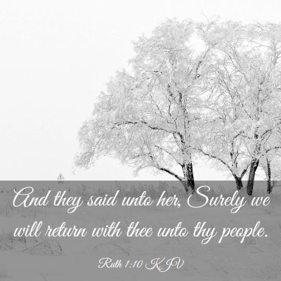 Picture 03 - Ruth 1:10 KJV - And they said unto her, Surely we will return - Bible Verse Picture