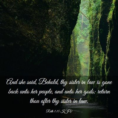 Picture 03 - Ruth 1:15 KJV - And she said, Behold, thy sister in law is gone - Bible Verse Picture