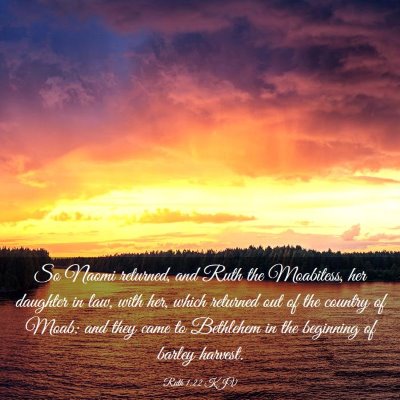 Picture 03 - Ruth 1:22 KJV - So Naomi returned, and Ruth the Moabitess, her - Bible Verse Picture