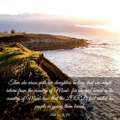 Picture 03 - Ruth 1:6 KJV - Then she arose with her daughters in law, that - Bible Verse Picture