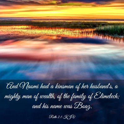 Picture 03 - Ruth 2:1 KJV - And Naomi had a kinsman of her husband's, a - Bible Verse Picture