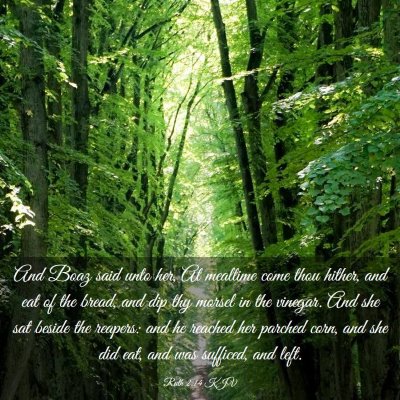 Picture 03 - Ruth 2:14 KJV - And Boaz said unto her, At mealtime come thou - Bible Verse Picture