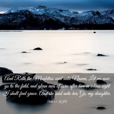 Picture 03 - Ruth 2:2 KJV - And Ruth the Moabitess said unto Naomi, Let me - Bible Verse Picture