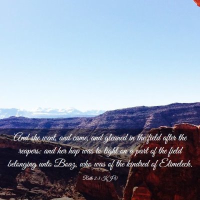 Picture 03 - Ruth 2:3 KJV - And she went, and came, and gleaned in the field - Bible Verse Picture