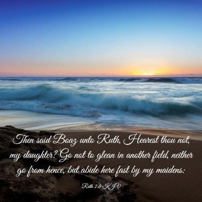Picture 03 - Ruth 2:8 KJV - Then said Boaz unto Ruth, Hearest thou not, my - Bible Verse Picture