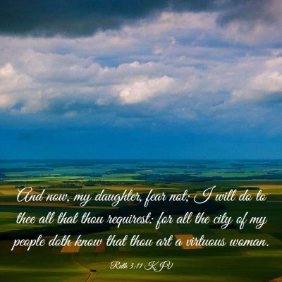 Picture 03 - Ruth 3:11 KJV - And now, my daughter, fear not; I will do to thee - Bible Verse Picture