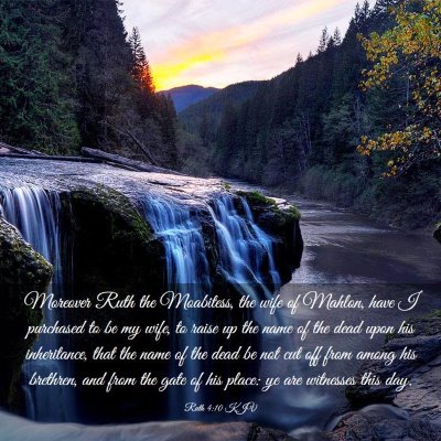 Picture 03 - Ruth 4:10 KJV - Moreover Ruth the Moabitess, the wife of Mahlon, - Bible Verse Picture