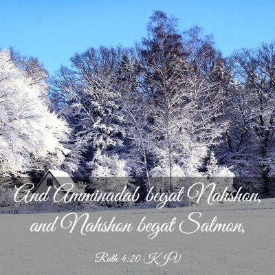 Picture 03 - Ruth 4:20 KJV - And Amminadab begat Nahshon, and Nahshon begat - Bible Verse Picture