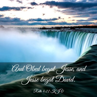 Picture 03 - Ruth 4:22 KJV - And Obed begat Jesse, and Jesse begat - Bible Verse Picture