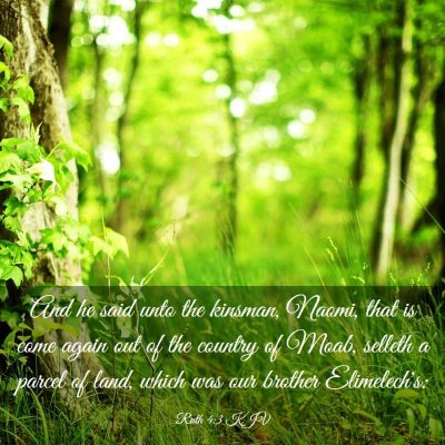 Picture 03 - Ruth 4:3 KJV - And he said unto the kinsman, Naomi, that is come - Bible Verse Picture