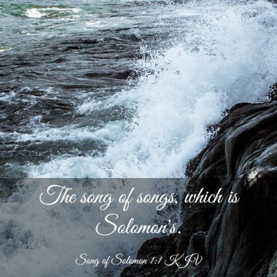 Picture 03 - Song of Solomon 1:1 KJV - The song of songs, which is - Bible Verse Picture