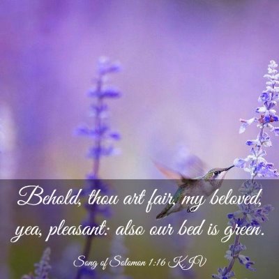 Picture 03 - Song of Solomon 1:16 KJV - Behold, thou art fair, my beloved, yea, pleasant: - Bible Verse Picture
