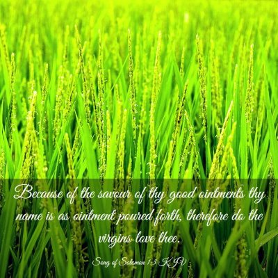 Picture 03 - Song of Solomon 1:3 KJV - Because of the savour of thy good ointments thy - Bible Verse Picture