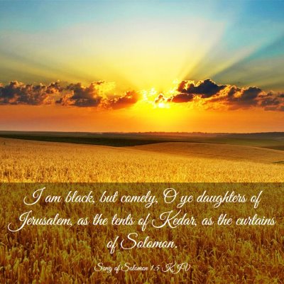 Picture 03 - Song of Solomon 1:5 KJV - I am black, but comely, O ye daughters of - Bible Verse Picture