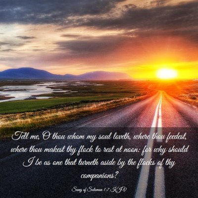 Picture 03 - Song of Solomon 1:7 KJV - Tell me, O thou whom my soul loveth, where thou - Bible Verse Picture