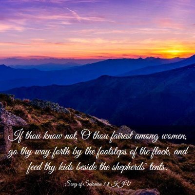 Picture 03 - Song of Solomon 1:8 KJV - If thou know not, O thou fairest among women, go - Bible Verse Picture