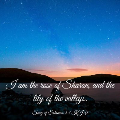 Picture 03 - Song of Solomon 2:1 KJV - I am the rose of Sharon, and the lily of the - Bible Verse Picture