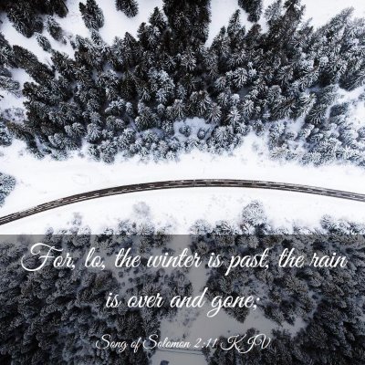 Picture 03 - Song of Solomon 2:11 KJV - For, lo, the winter is past, the rain is over and - Bible Verse Picture