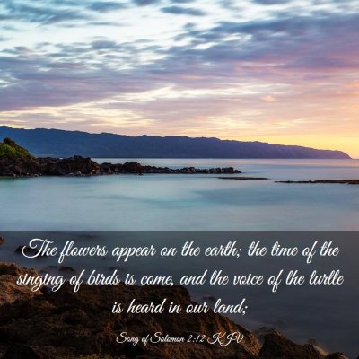 Picture 03 - Song of Solomon 2:12 KJV - The flowers appear on the earth; the time of the - Bible Verse Picture