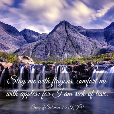 Picture 03 - Song of Solomon 2:5 KJV - Stay me with flagons, comfort me with apples: for - Bible Verse Picture