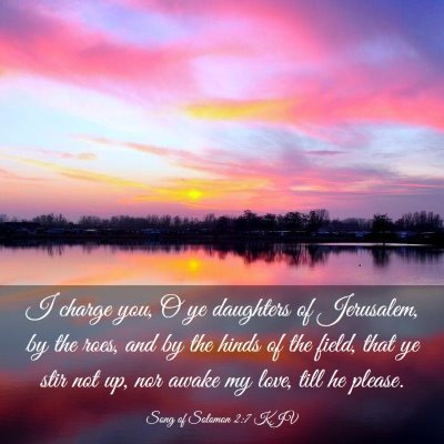 Picture 03 - Song of Solomon 2:7 KJV - I charge you, O ye daughters of Jerusalem, by the - Bible Verse Picture