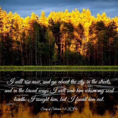Picture 03 - Song of Solomon 3:2 KJV - I will rise now, and go about the city in the - Bible Verse Picture